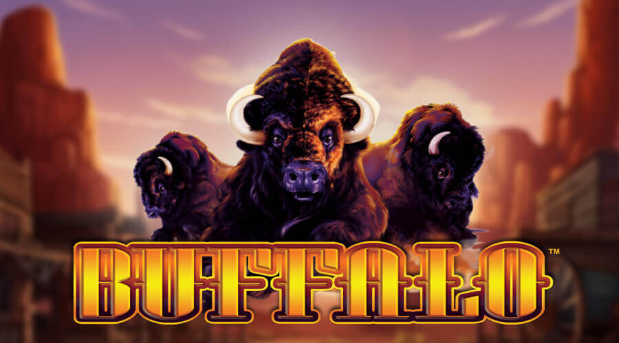 Buffalo pokie machine