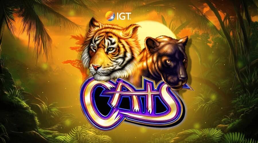 Cats Pokies