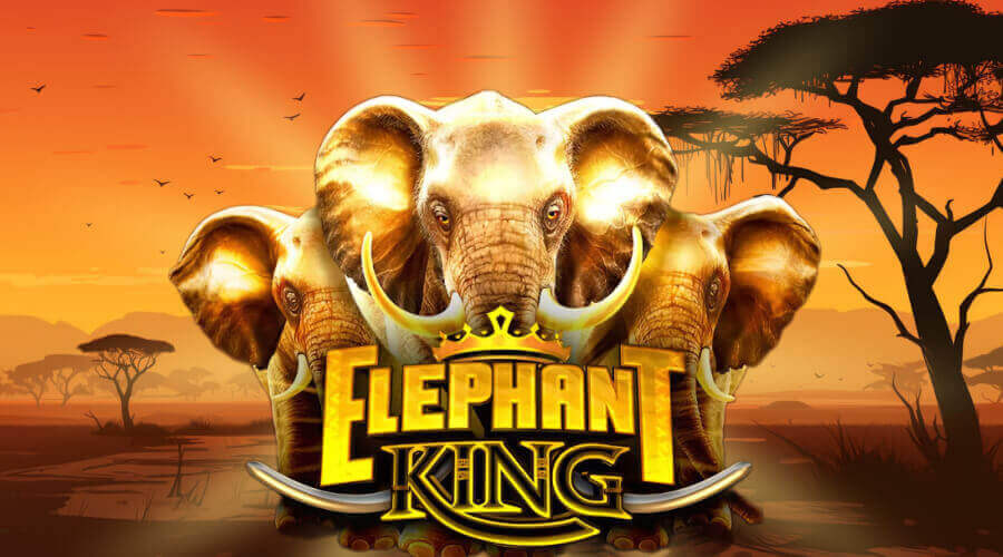 Elephant King pokies with real money