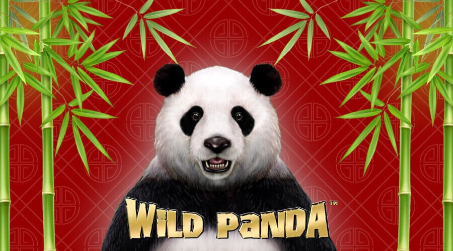 Wild Panda pokie machine
